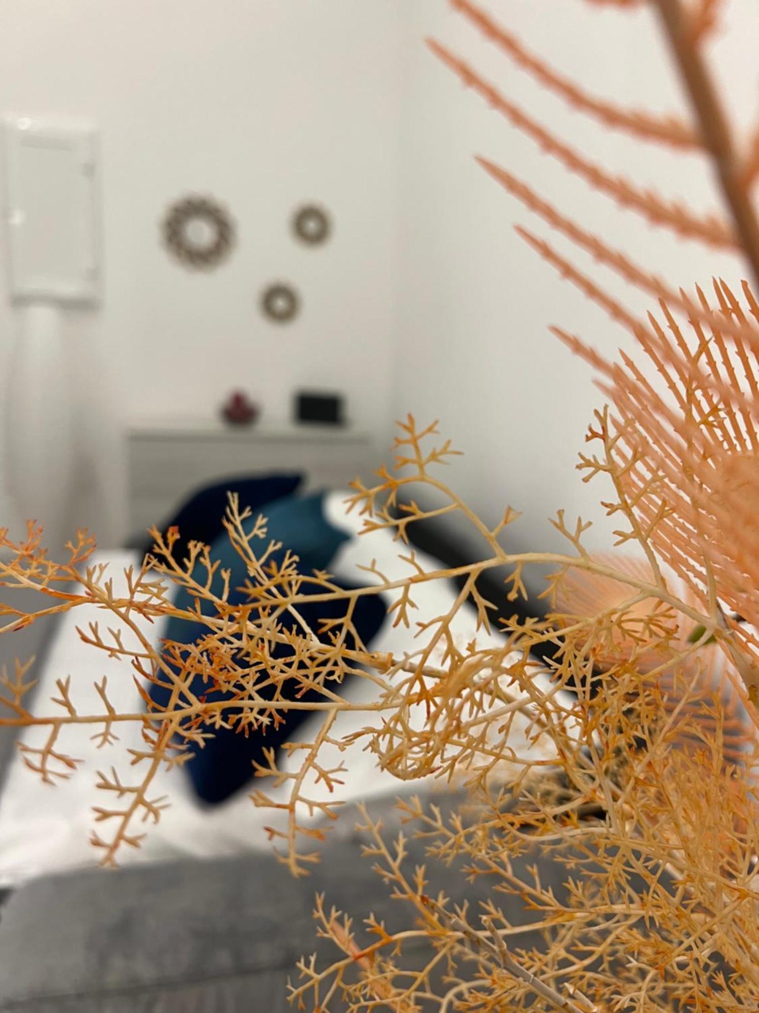 ナポリChe Casaアパートメント エクステリア 写真